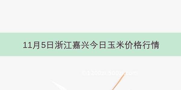 11月5日浙江嘉兴今日玉米价格行情