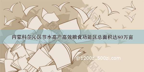 内蒙科尔沁区节水高产高效粮食功能区总面积达80万亩