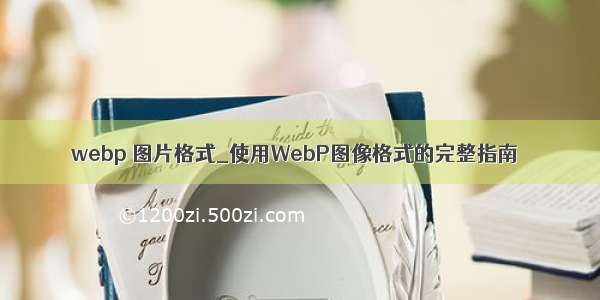 webp 图片格式_使用WebP图像格式的完整指南