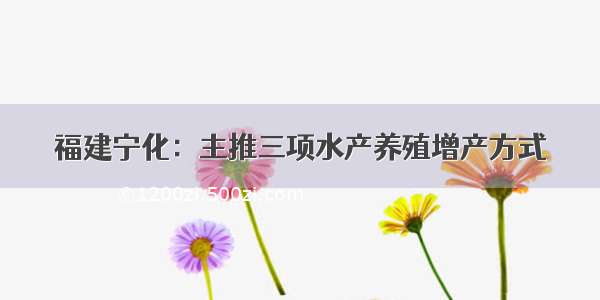 福建宁化：主推三项水产养殖增产方式