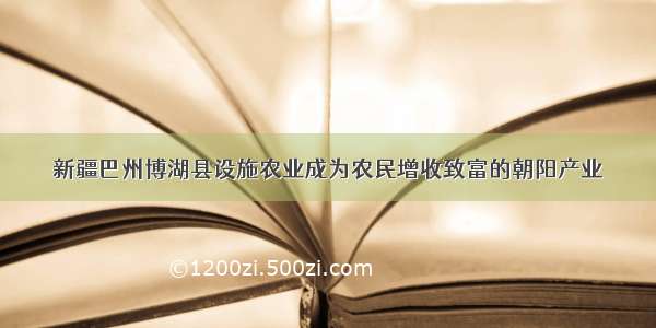 新疆巴州博湖县设施农业成为农民增收致富的朝阳产业