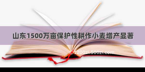 山东1500万亩保护性耕作小麦增产显著