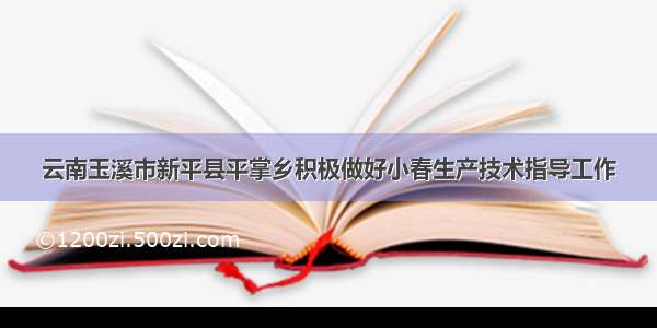 云南玉溪市新平县平掌乡积极做好小春生产技术指导工作