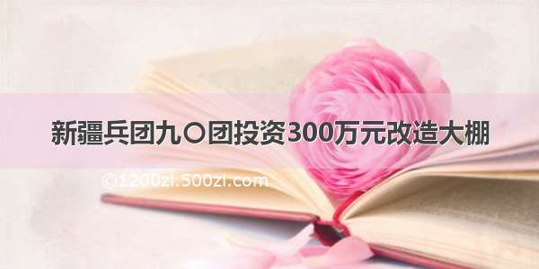 新疆兵团九〇团投资300万元改造大棚