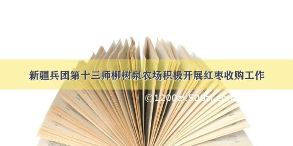 新疆兵团第十三师柳树泉农场积极开展红枣收购工作