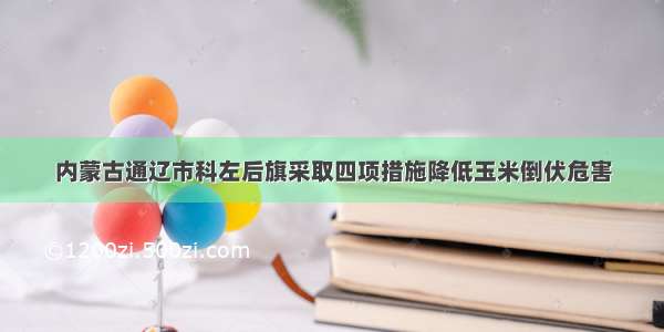 内蒙古通辽市科左后旗采取四项措施降低玉米倒伏危害