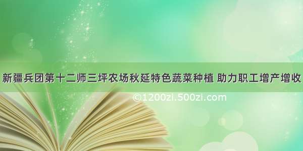 新疆兵团第十二师三坪农场秋延特色蔬菜种植 助力职工增产增收