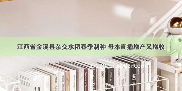 江西省金溪县杂交水稻春季制种 母本直播增产又增收