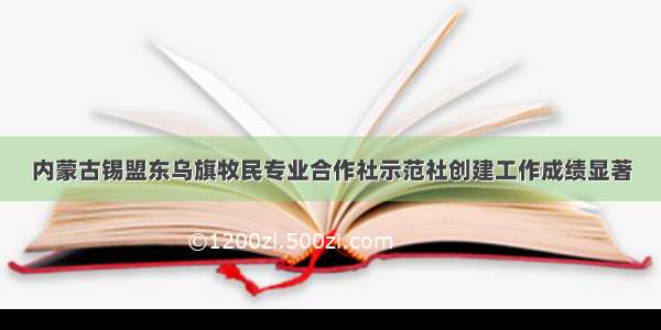 内蒙古锡盟东乌旗牧民专业合作社示范社创建工作成绩显著