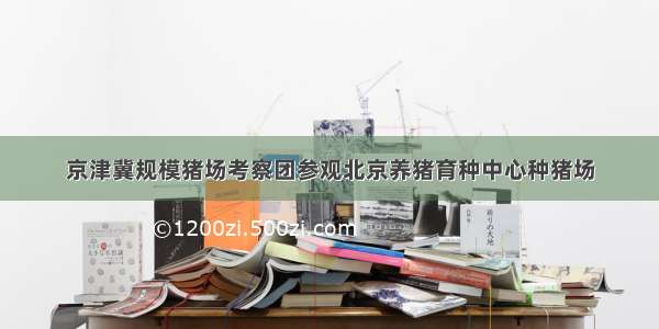 京津冀规模猪场考察团参观北京养猪育种中心种猪场