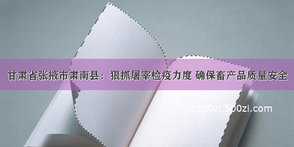 甘肃省张掖市肃南县：狠抓屠宰检疫力度 确保畜产品质量安全