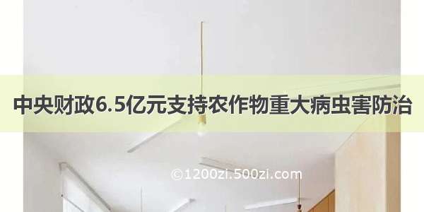 中央财政6.5亿元支持农作物重大病虫害防治