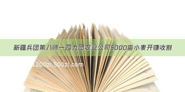 新疆兵团第八师一四九团农业公司5000亩小麦开镰收割