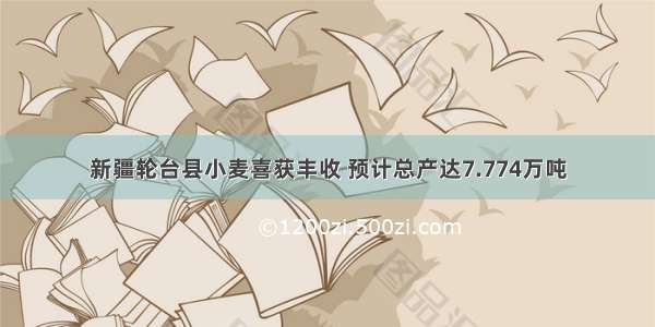 新疆轮台县小麦喜获丰收 预计总产达7.774万吨