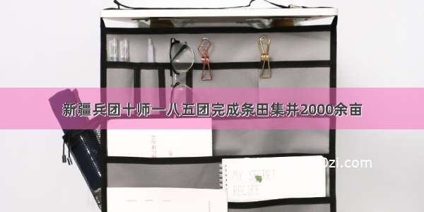 新疆兵团十师一八五团完成条田集并2000余亩