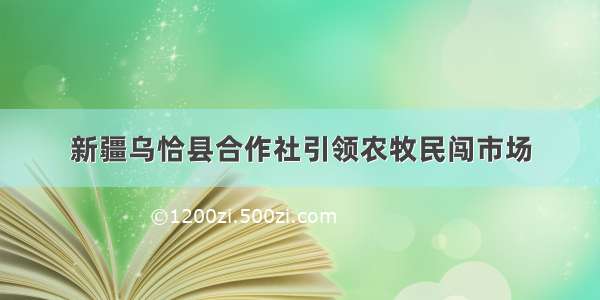 新疆乌恰县合作社引领农牧民闯市场