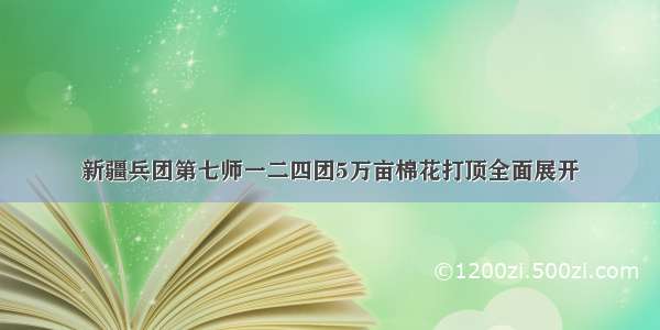 新疆兵团第七师一二四团5万亩棉花打顶全面展开