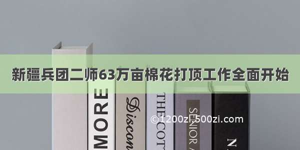 新疆兵团二师63万亩棉花打顶工作全面开始