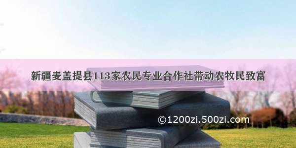 新疆麦盖提县113家农民专业合作社带动农牧民致富