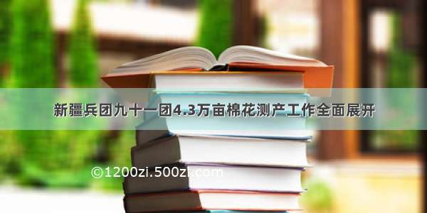 新疆兵团九十一团4.3万亩棉花测产工作全面展开