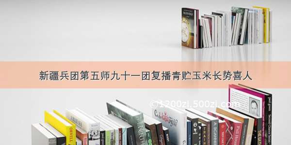 新疆兵团第五师九十一团复播青贮玉米长势喜人