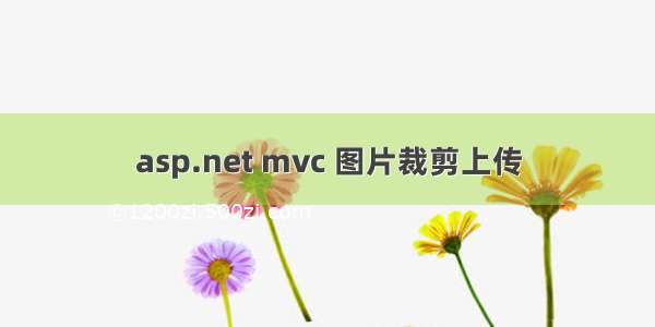 asp.net mvc 图片裁剪上传