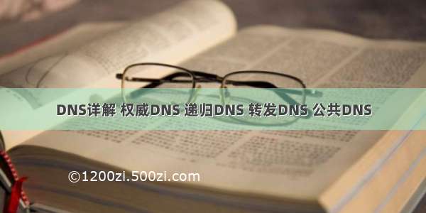 DNS详解 权威DNS 递归DNS 转发DNS 公共DNS