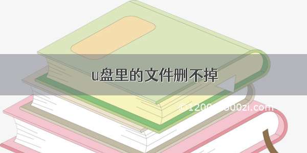 u盘里的文件删不掉