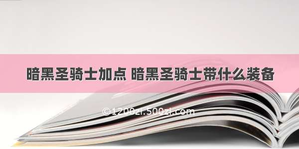 暗黑圣骑士加点 暗黑圣骑士带什么装备