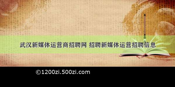 武汉新媒体运营商招聘网 招聘新媒体运营招聘信息