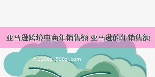 亚马逊跨境电商年销售额 亚马逊的年销售额