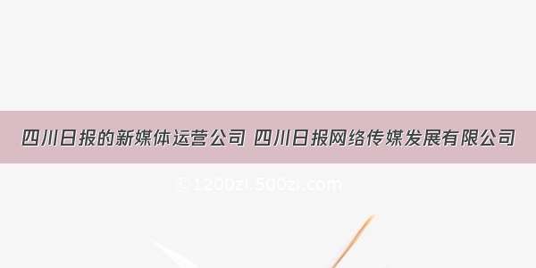 四川日报的新媒体运营公司 四川日报网络传媒发展有限公司