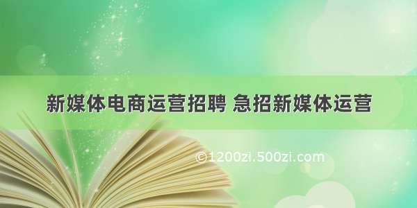 新媒体电商运营招聘 急招新媒体运营