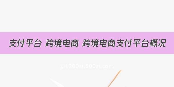 支付平台 跨境电商 跨境电商支付平台概况