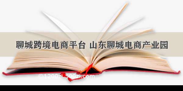 聊城跨境电商平台 山东聊城电商产业园