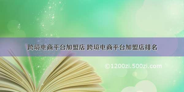 跨境电商平台加盟店 跨境电商平台加盟店排名