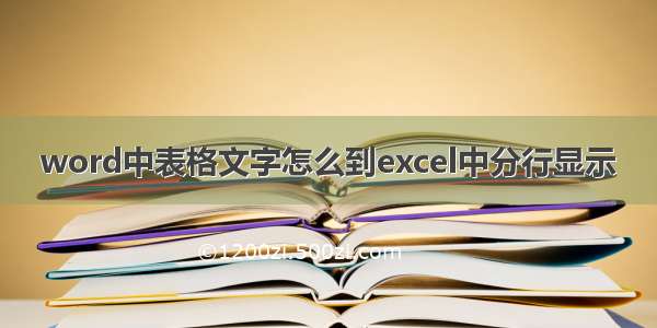 word中表格文字怎么到excel中分行显示