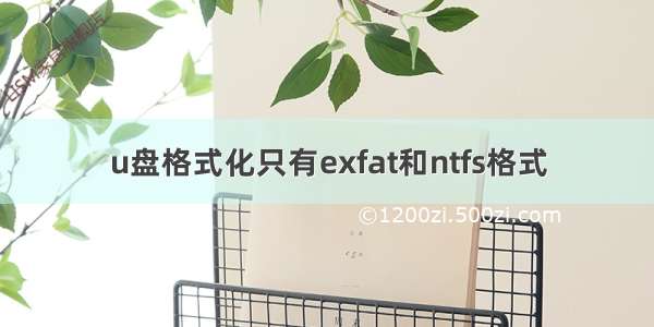 u盘格式化只有exfat和ntfs格式