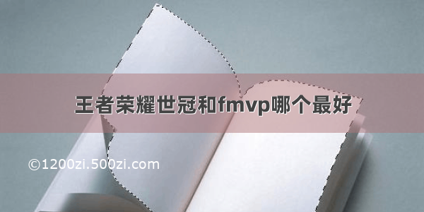 王者荣耀世冠和fmvp哪个最好