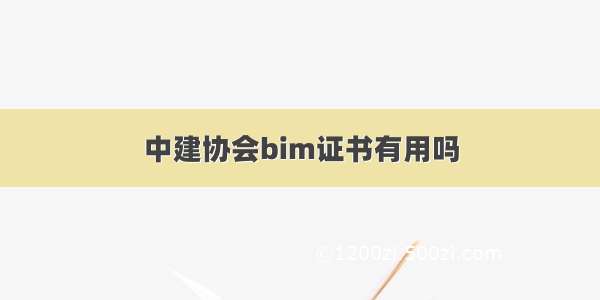 中建协会bim证书有用吗