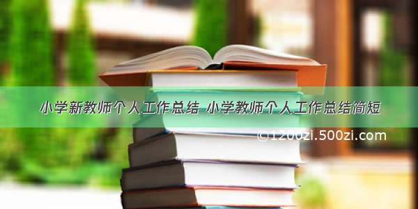 小学新教师个人工作总结 小学教师个人工作总结简短