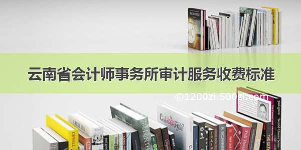 云南省会计师事务所审计服务收费标准