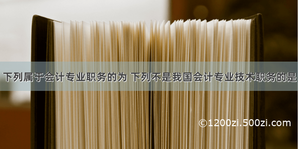 下列属于会计专业职务的为 下列不是我国会计专业技术职务的是