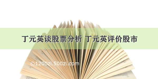 丁元英谈股票分析 丁元英评价股市