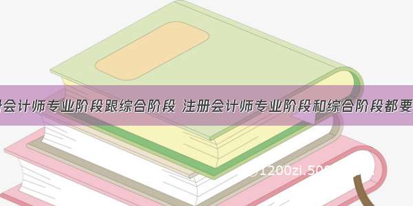 注册会计师专业阶段跟综合阶段 注册会计师专业阶段和综合阶段都要考吗