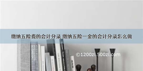 缴纳五险费的会计分录 缴纳五险一金的会计分录怎么做