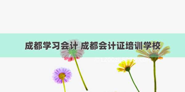 成都学习会计 成都会计证培训学校