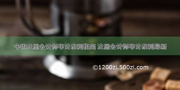 中国注册会计师审计准则指南 注册会计师审计准则最新