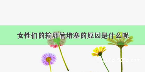 女性们的输卵管堵塞的原因是什么呢