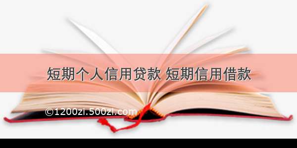 短期个人信用贷款 短期信用借款